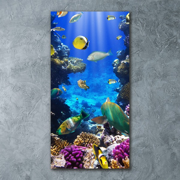 Quadro in vetro acrilico verticale Barriera corallina