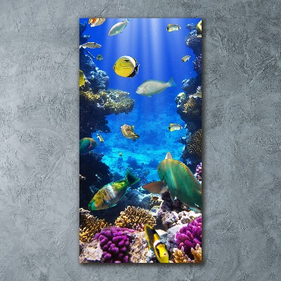 Quadro in vetro acrilico verticale Barriera corallina