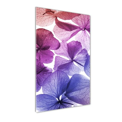 Quadro vetro acrilico verticale Fiori viola