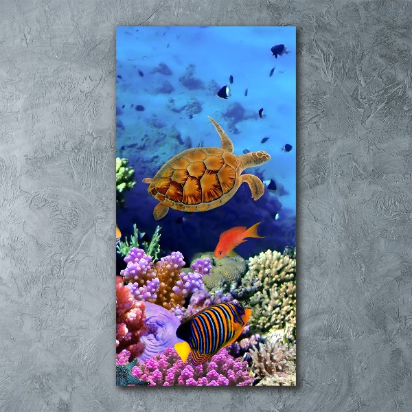 Quadro acrilico verticale Barriera corallina