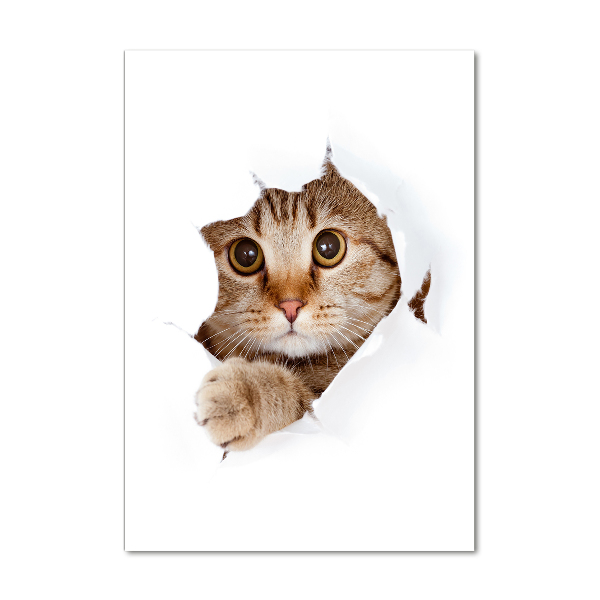 Quadro vetro acrilico verticale Gatto