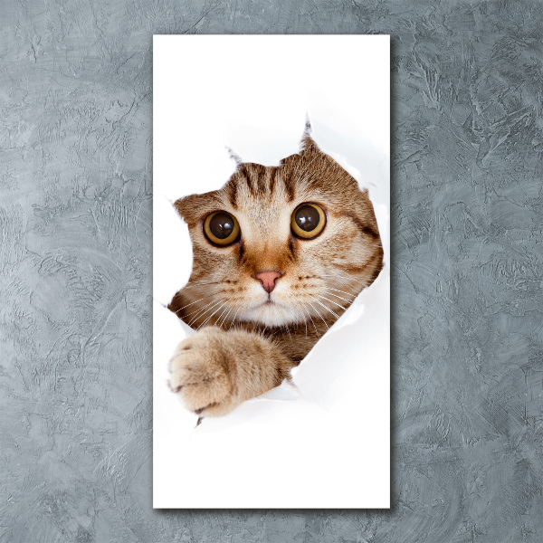 Quadro vetro acrilico verticale Gatto