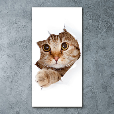Quadro vetro acrilico verticale Gatto