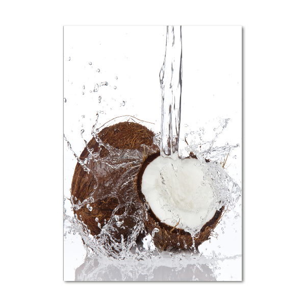 Quadro in vetro acrilico verticale Noce di cocco