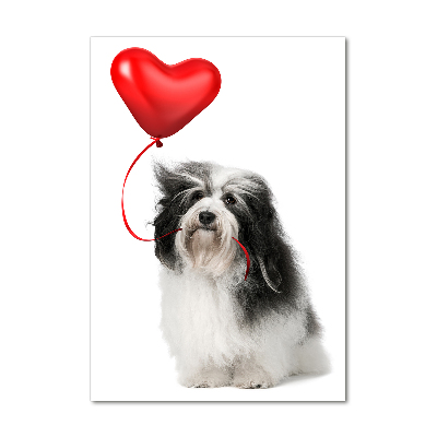 Quadro acrilico verticale Havanese con un palloncino