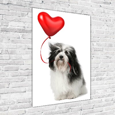 Quadro acrilico verticale Havanese con un palloncino