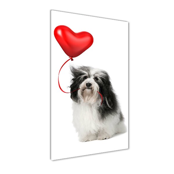 Quadro acrilico verticale Havanese con un palloncino
