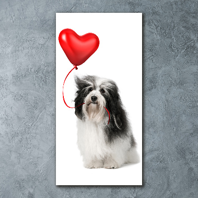 Quadro acrilico verticale Havanese con un palloncino