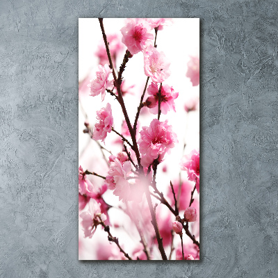 Quadro stampa su vetro acrilico verticale Fiori di pruno