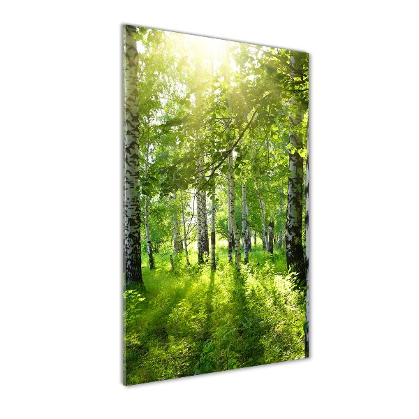 Quadro acrilico verticale Foresta di betulle