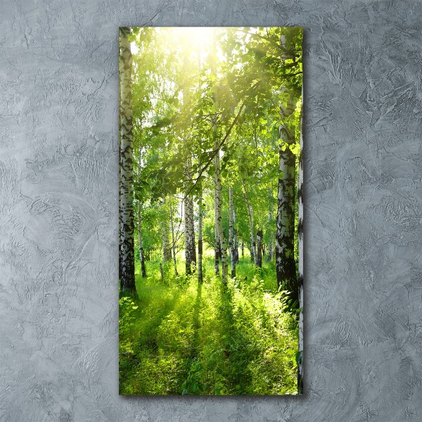Quadro acrilico verticale Foresta di betulle