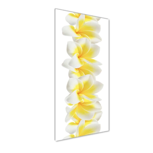 Quadro stampa su vetro acrilico verticale Plumeria