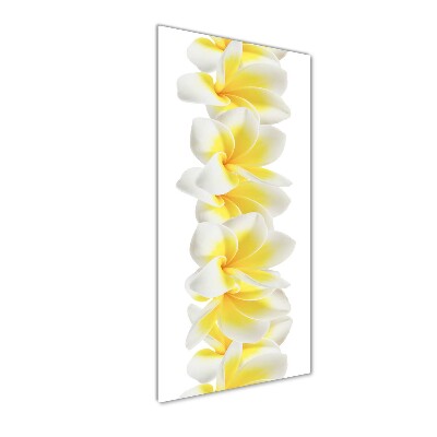 Quadro stampa su vetro acrilico verticale Plumeria