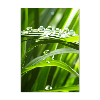 Quadro in vetro acrilico verticale Fili d'erba