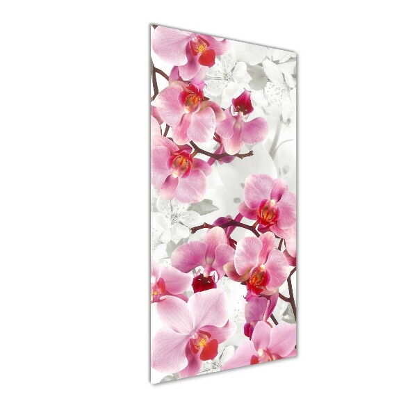 Quadro vetro acrilico verticale Orchidea rosa