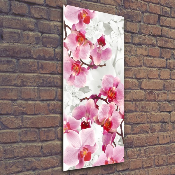 Quadro vetro acrilico verticale Orchidea rosa