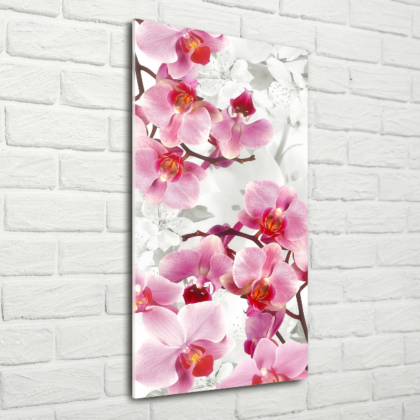 Quadro vetro acrilico verticale Orchidea rosa