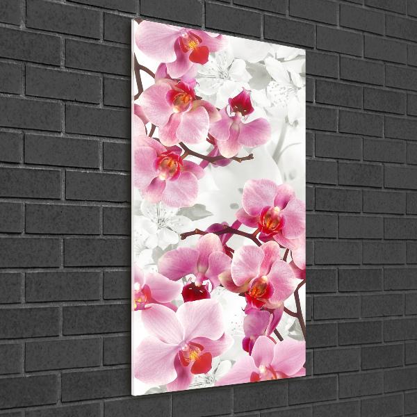 Quadro vetro acrilico verticale Orchidea rosa