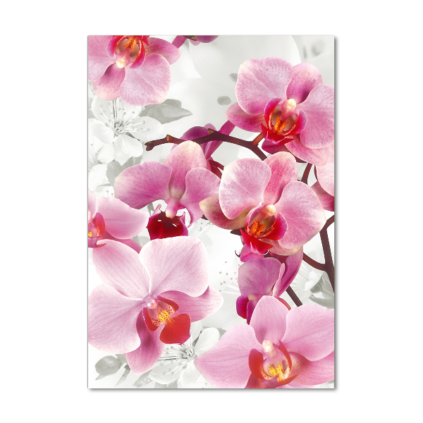 Quadro vetro acrilico verticale Orchidea rosa