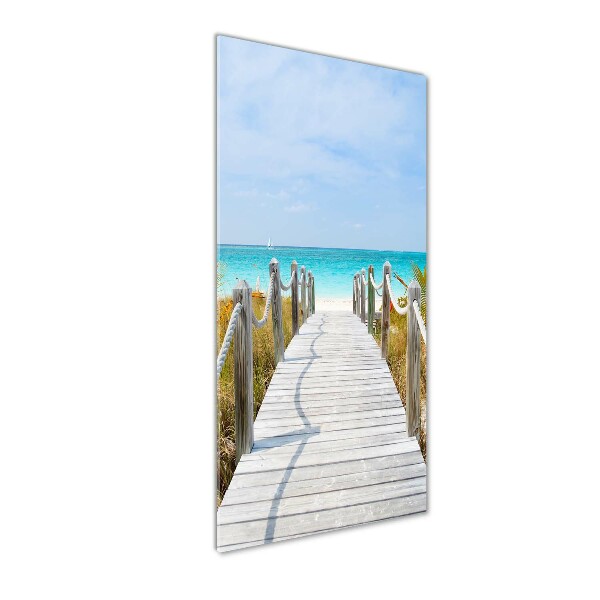 Quadro in vetro acrilico verticale Sentiero per la spiaggia