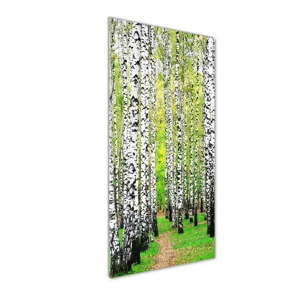 Quadro vetro acrilico verticale Foresta di betulle