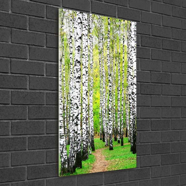Quadro vetro acrilico verticale Foresta di betulle