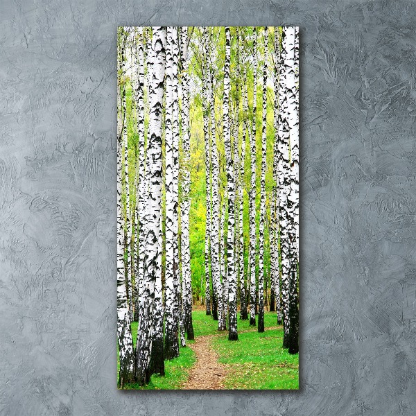 Quadro vetro acrilico verticale Foresta di betulle