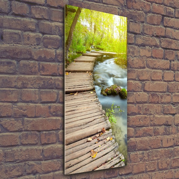 Quadro stampa su vetro acrilico verticale Sentiero nella foresta