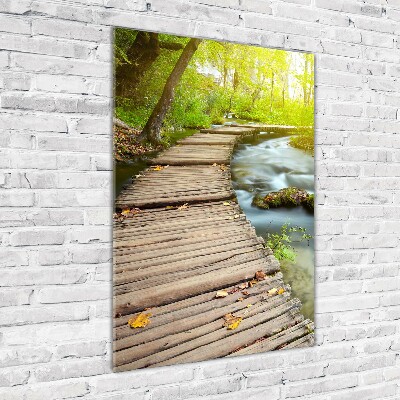 Quadro stampa su vetro acrilico verticale Sentiero nella foresta