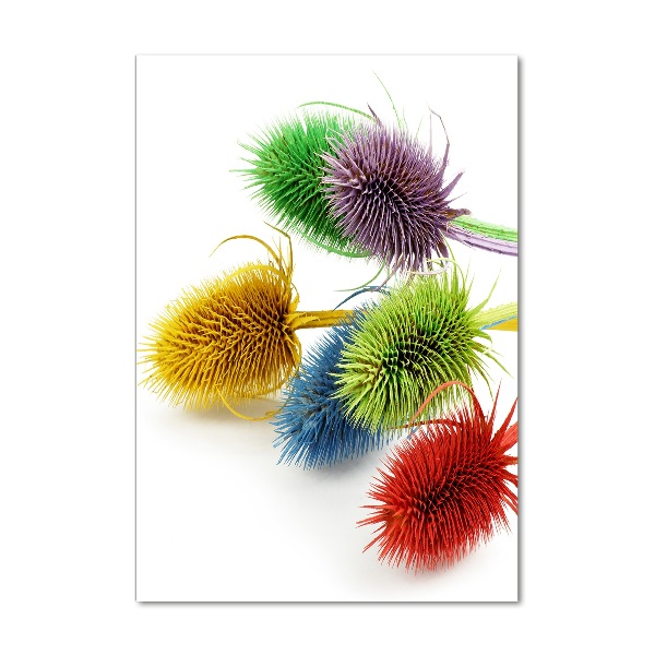 Quadro in vetro acrilico verticale Cardo