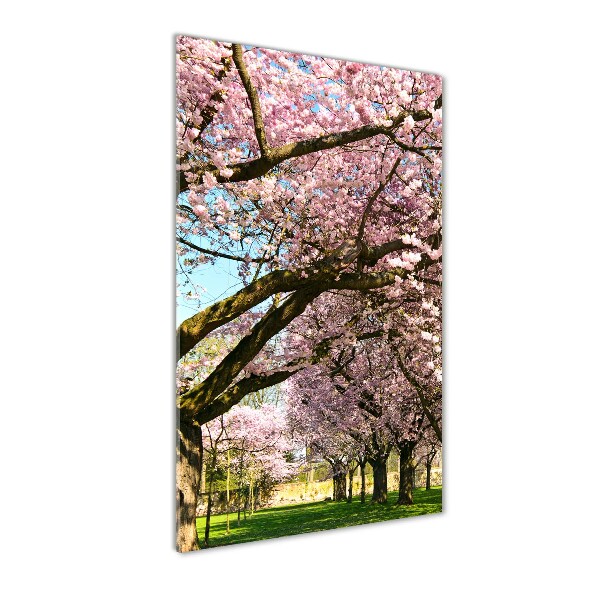 Quadro stampa su vetro acrilico verticale Alberi di ciliegio