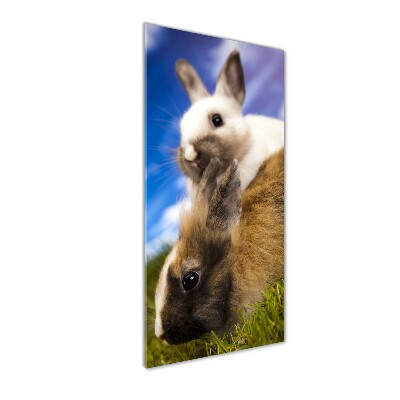 Quadro acrilico verticale Due conigli