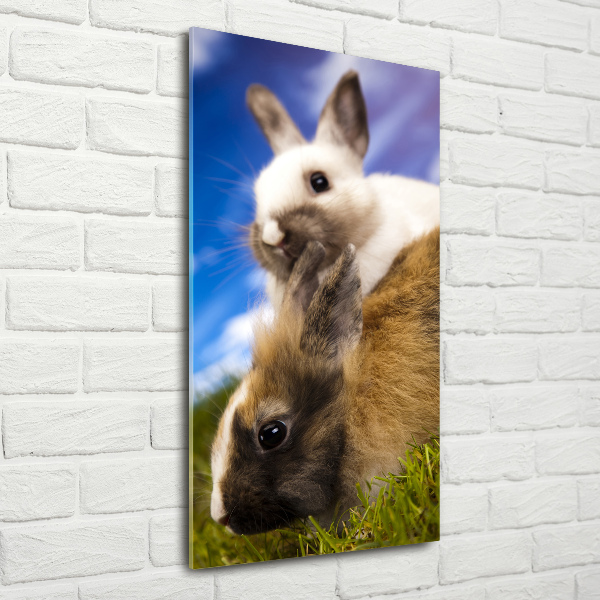 Quadro acrilico verticale Due conigli