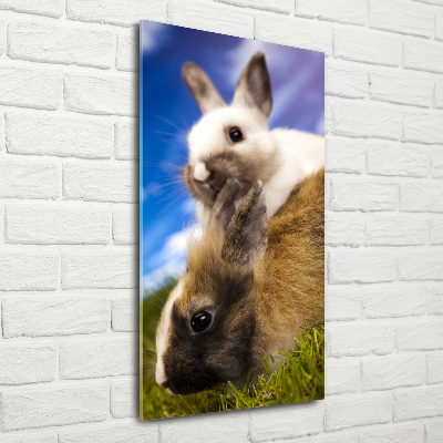 Quadro acrilico verticale Due conigli
