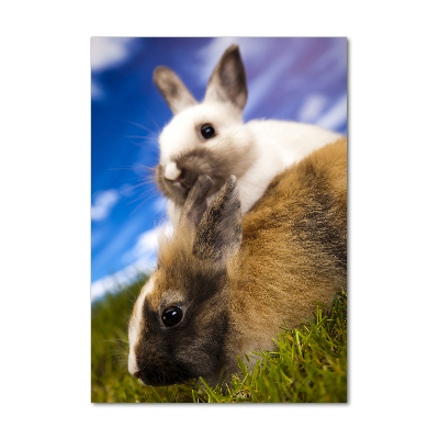 Quadro acrilico verticale Due conigli