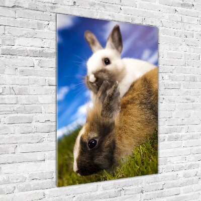 Quadro acrilico verticale Due conigli