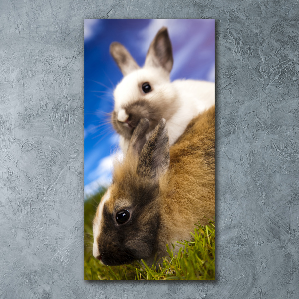 Quadro acrilico verticale Due conigli