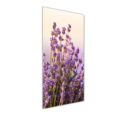 Quadro in vetro acrilico verticale Lavanda