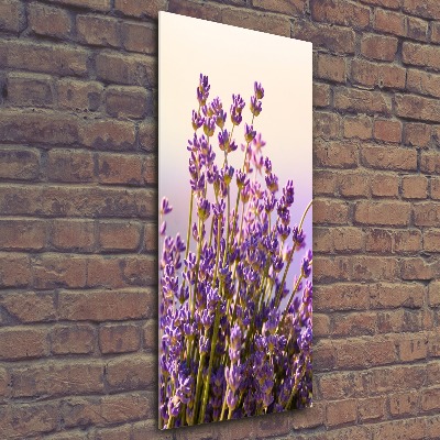 Quadro in vetro acrilico verticale Lavanda