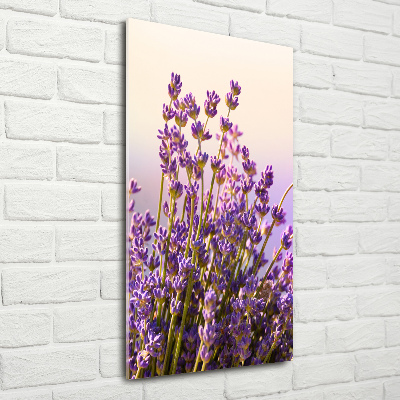 Quadro in vetro acrilico verticale Lavanda