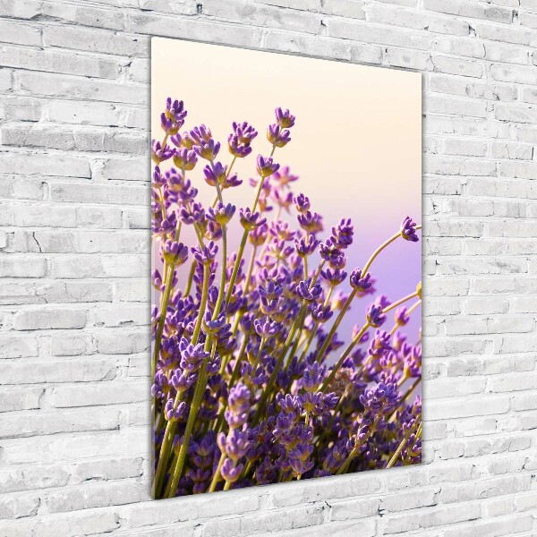 Quadro in vetro acrilico verticale Lavanda