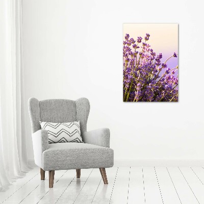Quadro in vetro acrilico verticale Lavanda