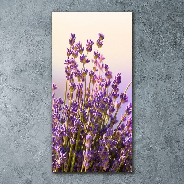Quadro in vetro acrilico verticale Lavanda