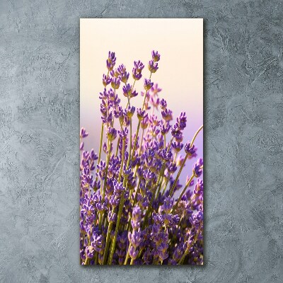Quadro in vetro acrilico verticale Lavanda