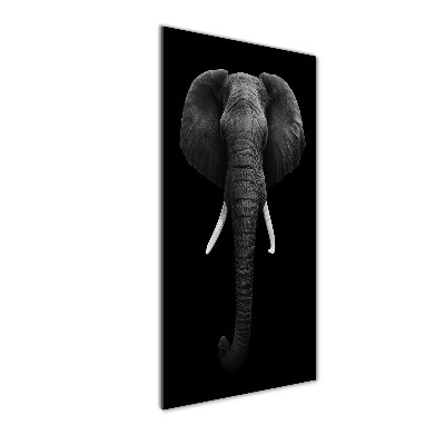 Quadro vetro acrilico verticale Elefante africano