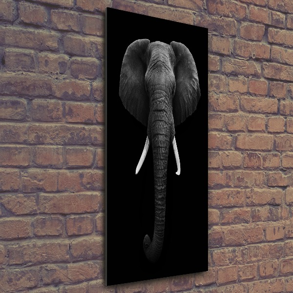 Quadro vetro acrilico verticale Elefante africano