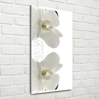 Quadro vetro acrilico verticale Orchidea e pietre