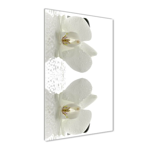 Quadro vetro acrilico verticale Orchidea e pietre