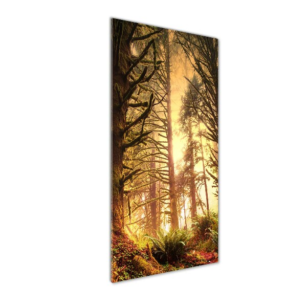 Quadro acrilico verticale Foresta pluviale