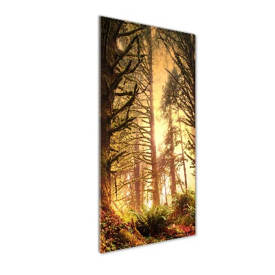 Quadro acrilico verticale Foresta pluviale